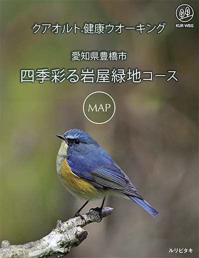 愛知県豊橋市　四季彩る岩屋緑地コース