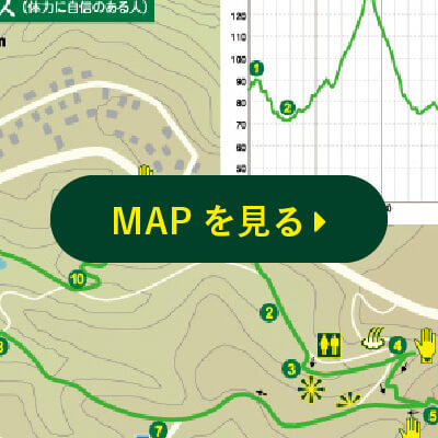 MAPを見る