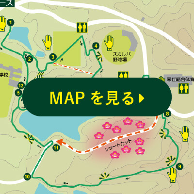 MAPを見る