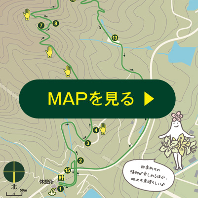 MAPを見る