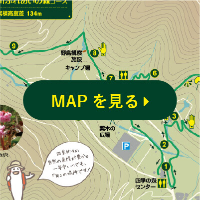 MAPを見る