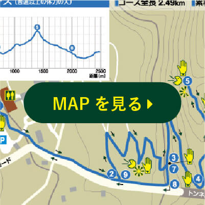 MAPを見る