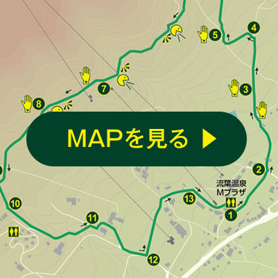 MAPを見る