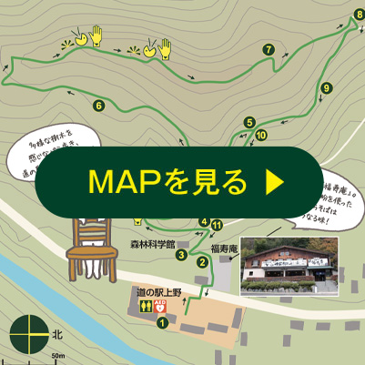 MAPを見る