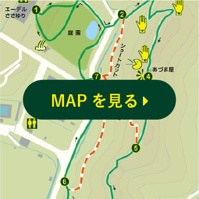 MAPを見る