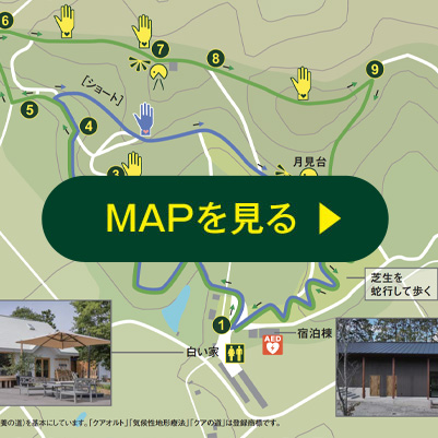 MAPを見る