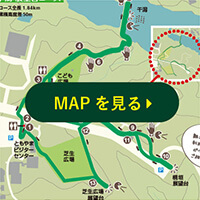 MAPを見る