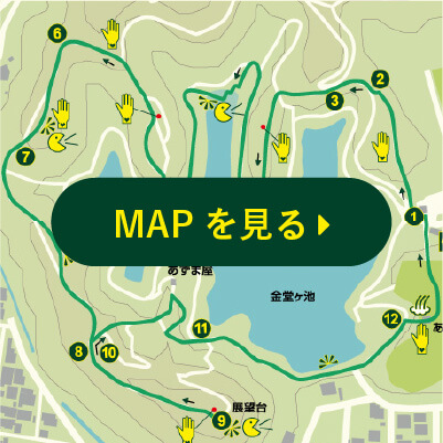 MAPを見る