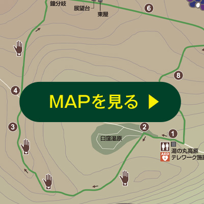 MAPを見る