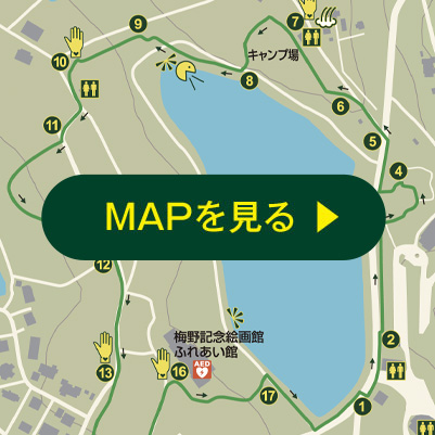 MAPを見る