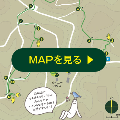MAPを見る