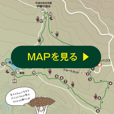 MAPを見る