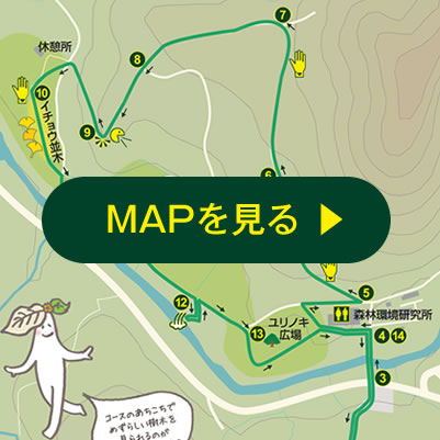 MAPを見る